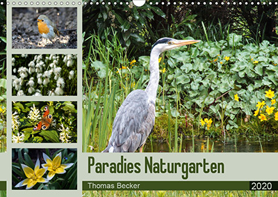 Kalender Paradies Naturgarten